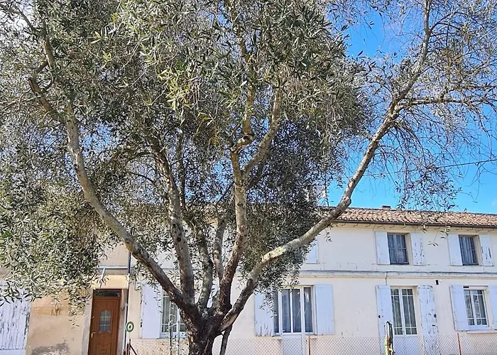 Casa vacanze Joli Eden Saint-Sulpice-de-Faleyrens